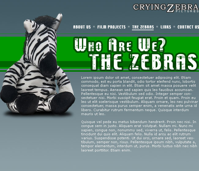 Crying Zebra Production - The Zebras Screenshot